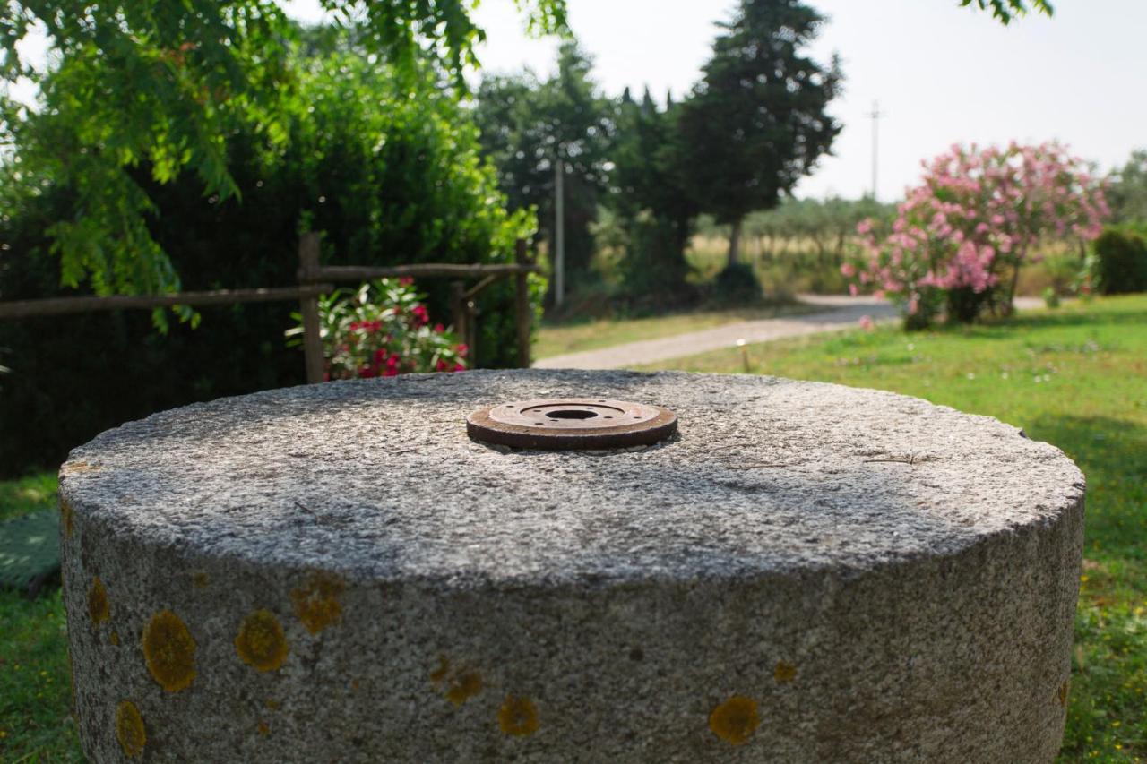 Tenuta Il Corno Agriturismo San Casciano in Val di Pesa Εξωτερικό φωτογραφία